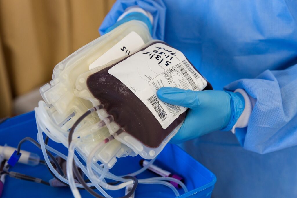 A nurse carrying a pint of haemochromatosis blood in a donation centre.