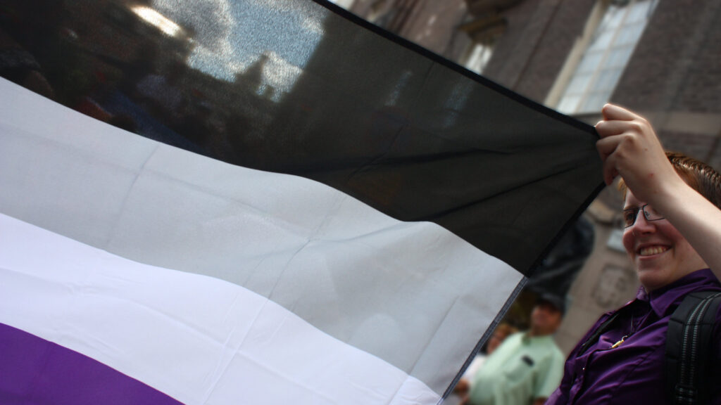 A person dressed in purple holding the corner of an asexual flag.