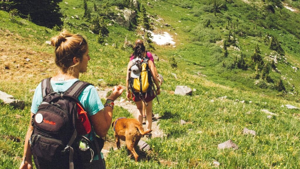 Image shows two women's hiking a nature trail [outdoor enthusiast]