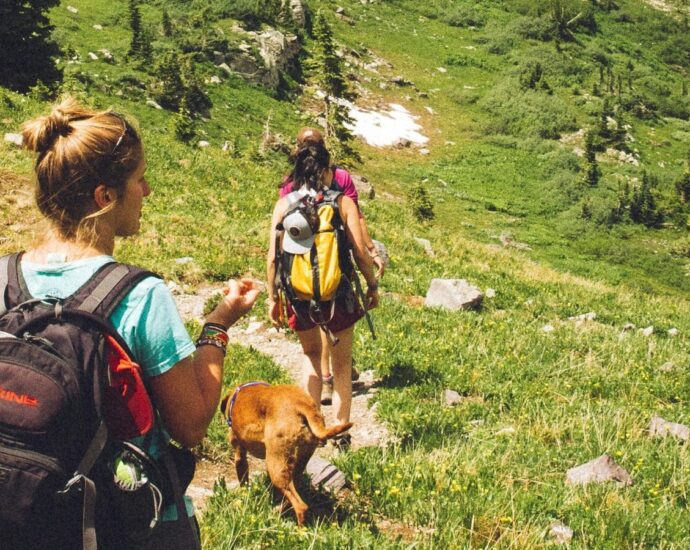 Image shows two women's hiking a nature trail [outdoor enthusiast]
