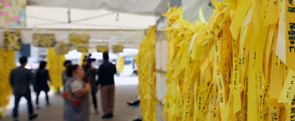 yellow ribbons in memorial of the sewol ferry