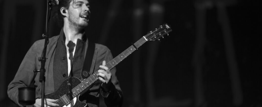 Black and white image of Hozier performing live.
