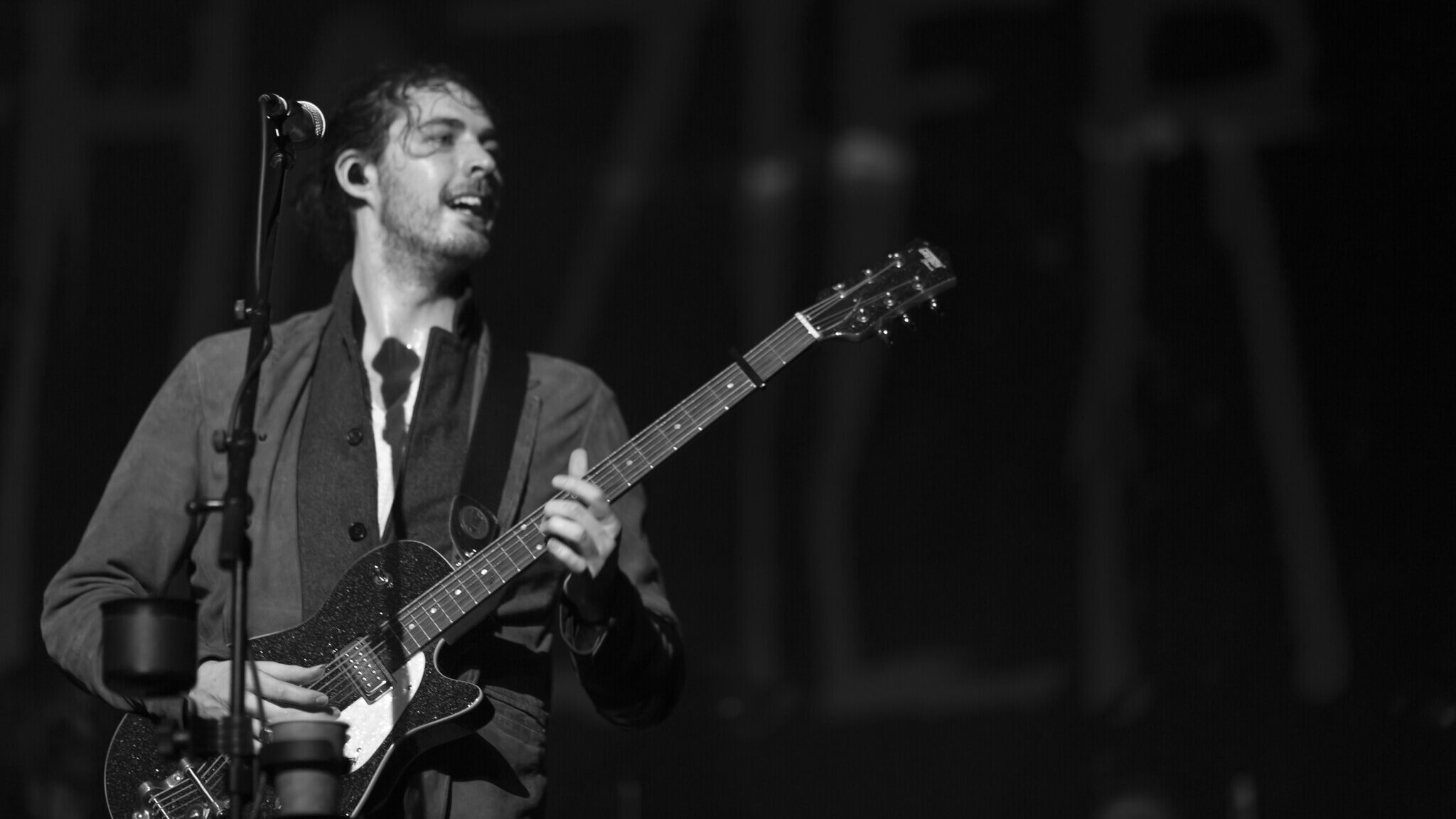 Black and white image of Hozier performing live.