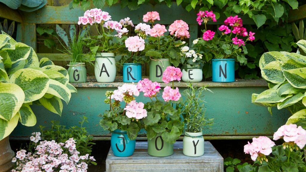 Pink and red flowers in blue ceramic vases on garden wall