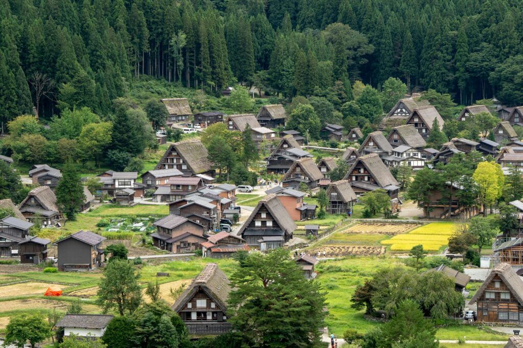 Small brown houses in green countryside