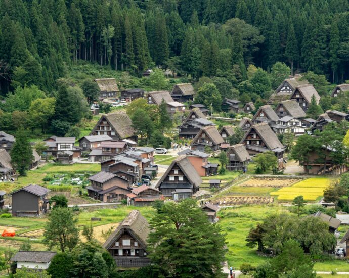 Small brown houses in green countryside